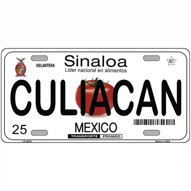 Mexico Novelty Metal License Plate